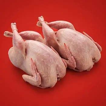 گوشت بلدرچین