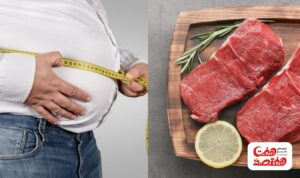 کدام گوشت چاق کننده است؟